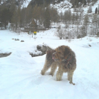 Mercantour, janvier 2015