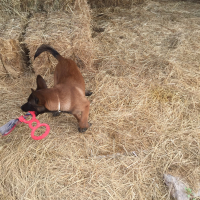 Photo #272894 de Lanna