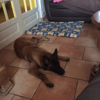 Photo #272895 de Lanna