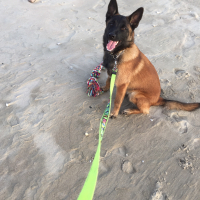 Photo #272896 de Lanna