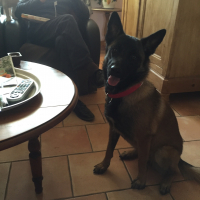 Photo #272897 de Lanna