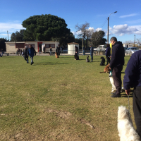 Photo #272898 de Lanna