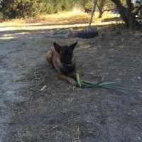 Photo #272900 de Lanna