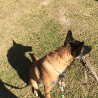 Photo #272901 de Lanna