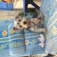 Photo #272912 de Court
