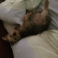 Photo #272913 de Court