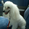 Photo #272933 de Bonny