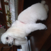 Photo #272934 de Bonny