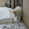 (31.01.2012) Découverte de la neige,