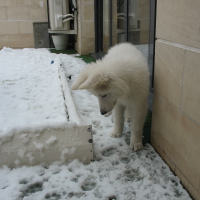 (31.01.2012) Découverte de la neige,