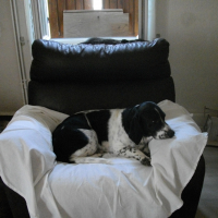 Photo #272995 de FILOU