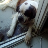 Photo #272997 de Fendy 