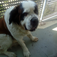Photo #272998 de Fendy 