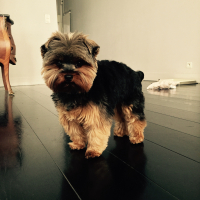 Photo #273022 de Charlie