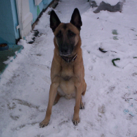 Photo #273043 de trex