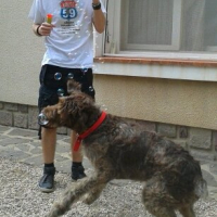 Photo #273121 de Gustave