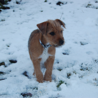 Photo #273193 de Milo