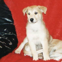 Photo #273256 de BIDOU