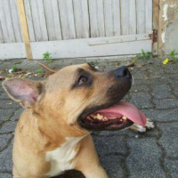 Photo #273296 de Luna 