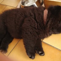 Photo #273298 de Mina
