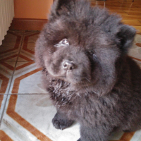 Photo #273300 de Mina