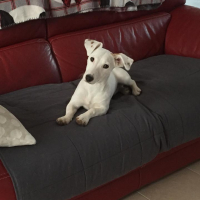 Photo #273351 de Juna