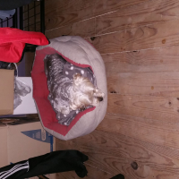 Photo #273401 de Fonzy