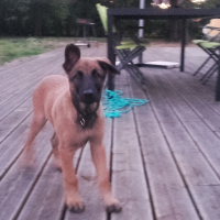 Photo #273411 de maïki