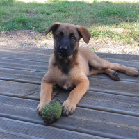 Photo #273412 de maïki