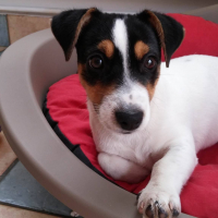Photo #273482 de Lyna