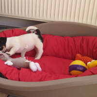Photo #273484 de Lyna