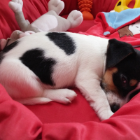 Photo #273485 de Lyna