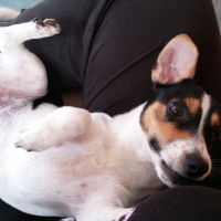 Photo #273486 de Lyna