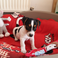 Photo #273487 de Lyna