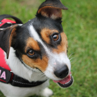 Photo #273488 de Lyna