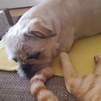 Photo #273492 de Murphy 