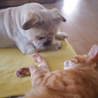Photo #273493 de Murphy 