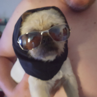 Photo #273494 de Murphy 