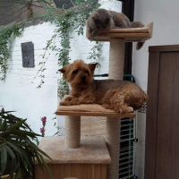 Photo #273529 de kyro