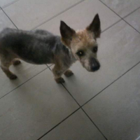 Photo #273532 de kyro