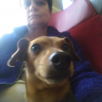 Photo #273645 de Houpy