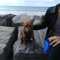 Photo #273646 de Houpy