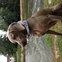 Photo #273697 de Cayla