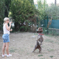 Photo #273705 de Gustave