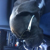 Photo #273715 de Laya