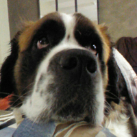 Photo #273732 de Betty