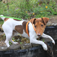 Photo #273757 de Hisko