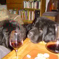 Photo #273785 de Corrigan