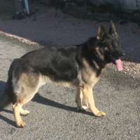 Photo #273896 de Jack