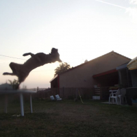 Photo #273906 de Inouk
